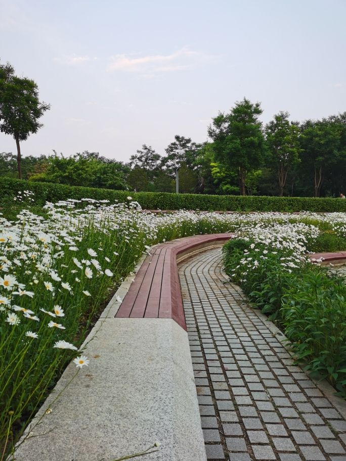 人间四月芳菲尽
隔岸桃花始盛开