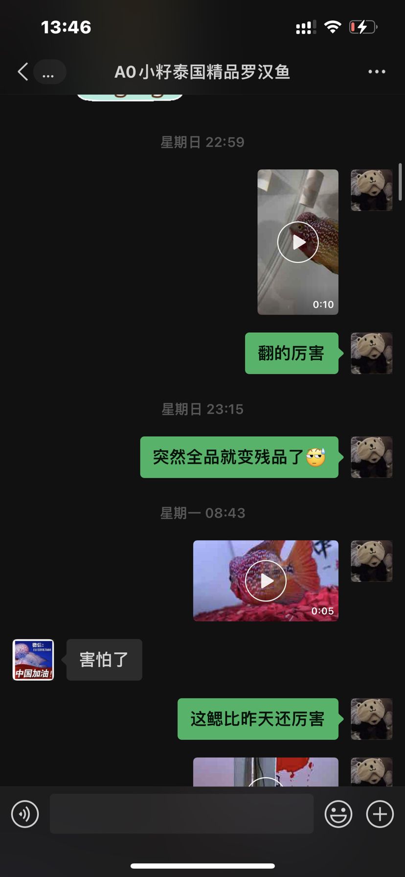 回馈奸商贴 观赏鱼论坛 第3张