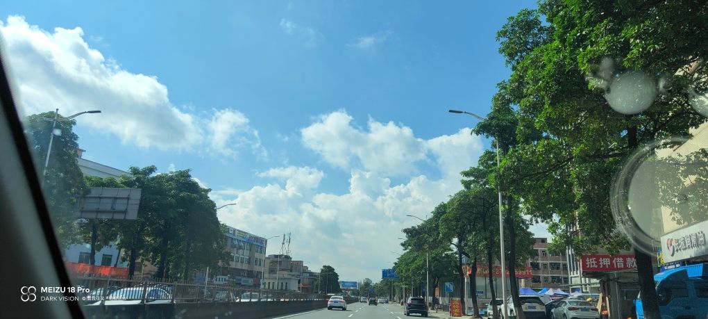 雨后的天晴，给人的感觉简直太够清新。爱了爱了 观赏鱼论坛 第3张