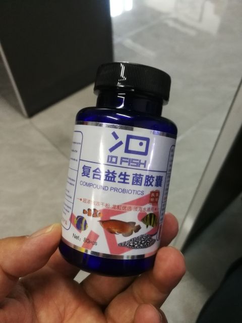 感谢龙巅礼物福利收到 观赏鱼论坛 第1张