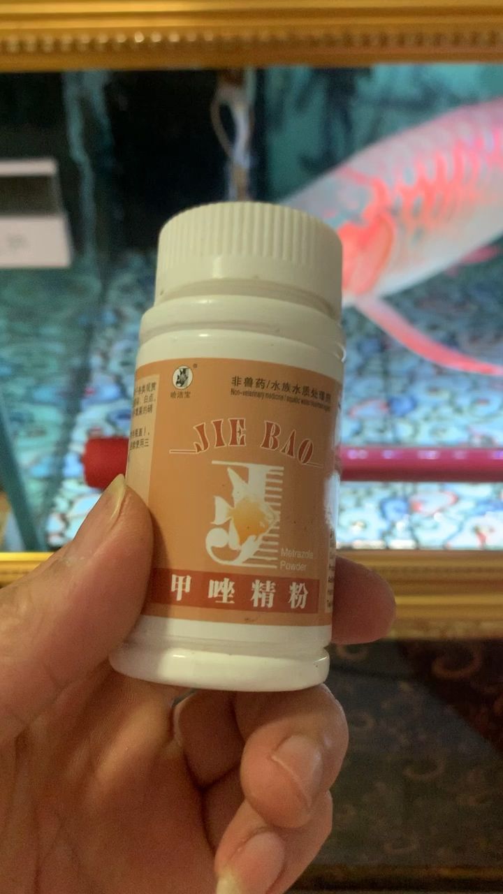 龙鱼治疗水泡症用药 观赏鱼论坛