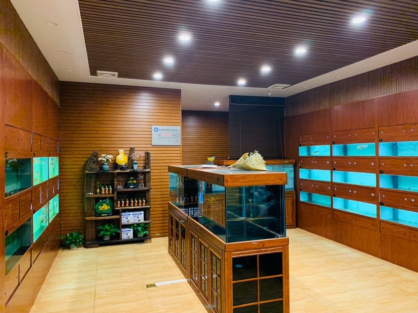 对比一下：老店新店 全国水族馆企业名录 第3张