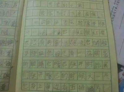 龙鱼的选择与鉴赏作文500字