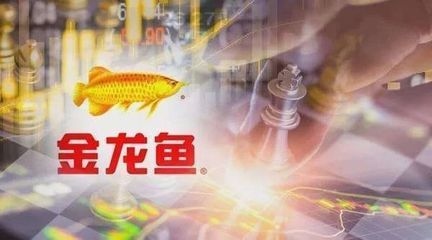 金龙鱼预计上市价 龙鱼百科