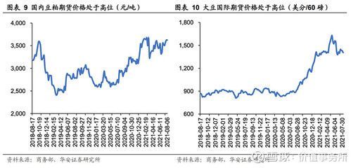 金龙鱼价格上涨原因是什么 龙鱼百科