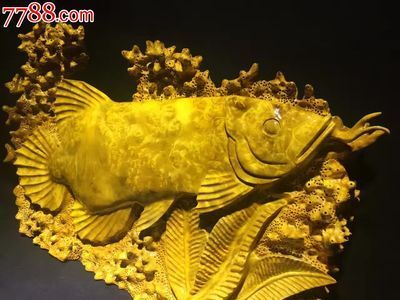 黄金龙鱼价格多少钱 龙鱼百科