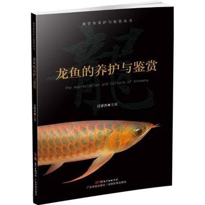 龙鱼的养护与鉴赏作文300字左右 龙鱼百科