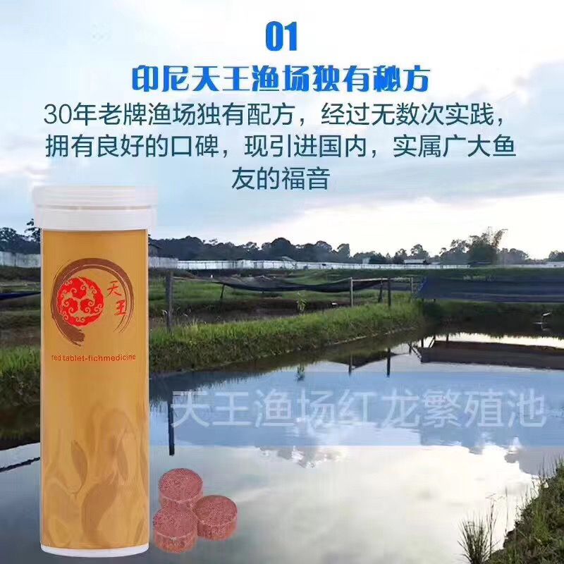 天王大红片，细菌克星 观赏鱼论坛 第3张