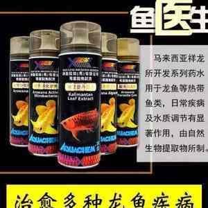 龙鱼常见病毒和细菌有哪些呢 龙鱼百科