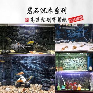 红龙鱼鱼缸背景图怎么选 龙鱼百科