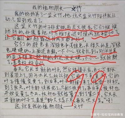 龙鱼的养护与鉴赏作文400字左右三年级 龙鱼百科