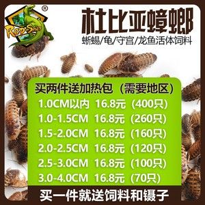 龙鱼多少度要加温了才能繁殖 龙鱼百科