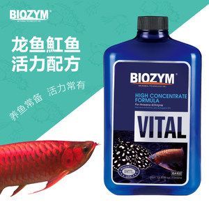 龙鱼常备药物有哪些药品 龙鱼百科