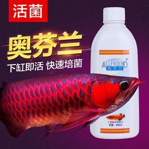 红龙鱼细菌感染用什么药最好