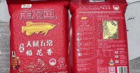 金龙鱼30厘米价格多少钱一条