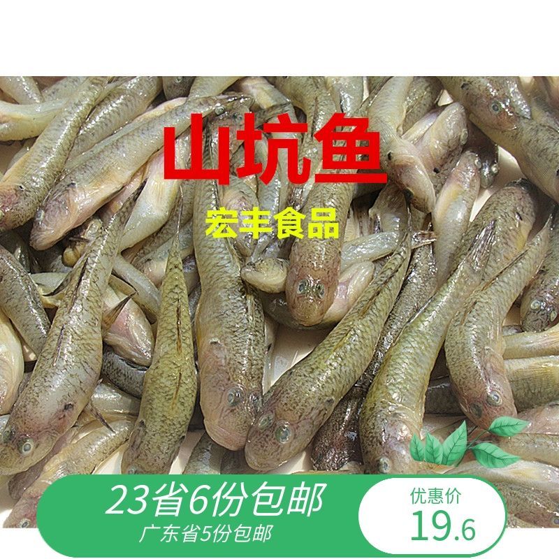 龙鱼吃冷冻食品会怎样 龙鱼百科