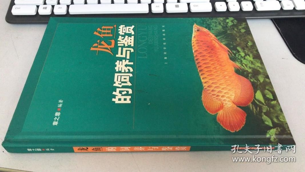 龙鱼的饲养与鉴赏