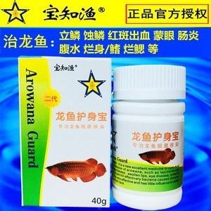 治疗龙鱼水霉病怎么治最快的方法 龙鱼百科 第2张