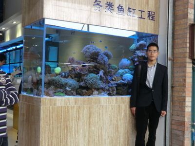 丹东水族批发市场