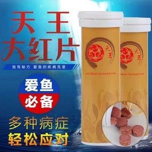 龙鱼水霉菌怎么治疗最有效的方法 龙鱼百科