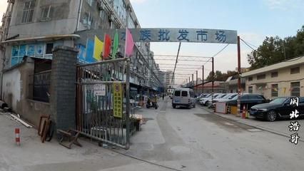 上海水族批发市场