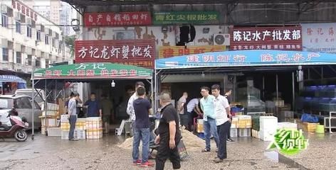 张家界水族批发市场 全国观赏鱼市场 第2张