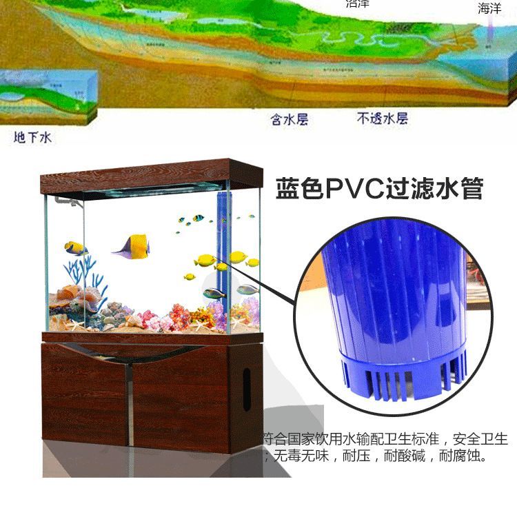 龙鱼几个月没有换水了 龙鱼百科 第1张