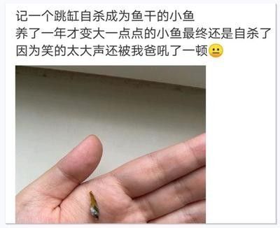 龙鱼尾巴发白是什么症状表现