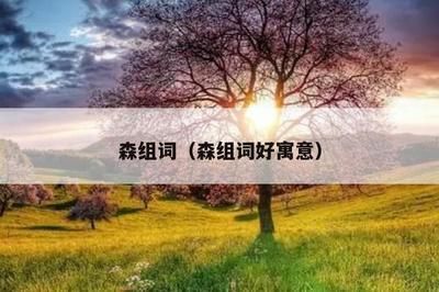 森森的组词是什么