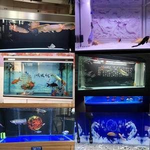 森森水族鱼缸售后电话北京 森森鱼缸