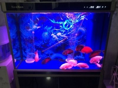 森森水族鱼缸配件可以用手机操作吗 森森鱼缸