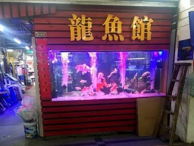 卖龙鱼的店叫什么店