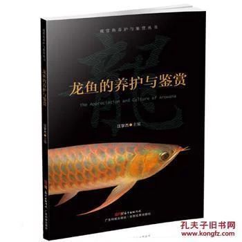 龙鱼的养护与鉴赏作文300字左右怎么写的呀 龙鱼百科 第2张