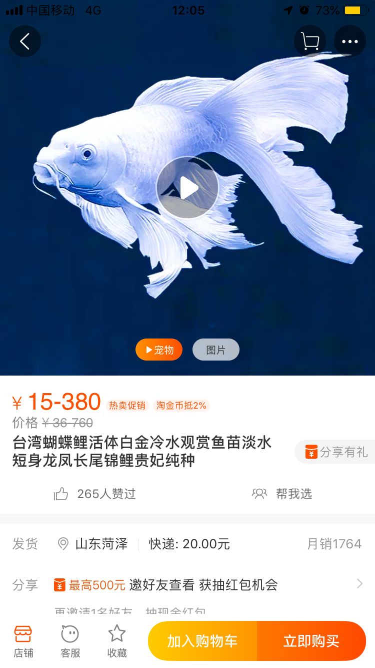 有宁波镇海的鱼友么