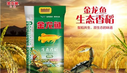 金龙鱼生态香稻粳米价格 龙鱼百科 第2张