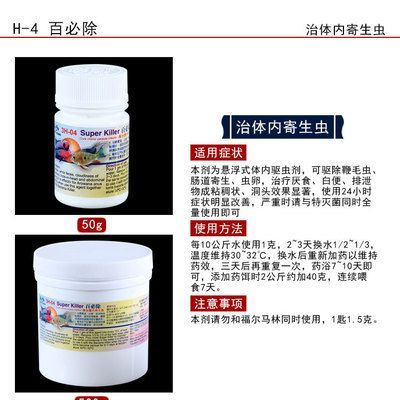 龙鱼驱虫用什么药 龙鱼百科 第2张