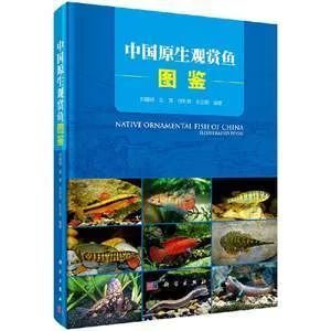 龙鱼的养殖技术与管理论文怎么写的 龙鱼百科 第1张