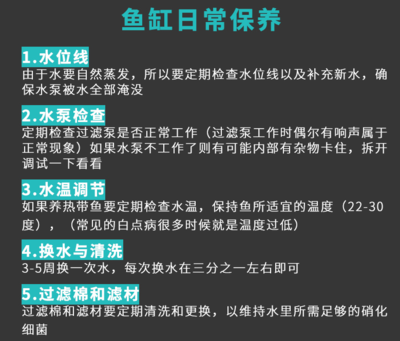 第一次换水就挂了……