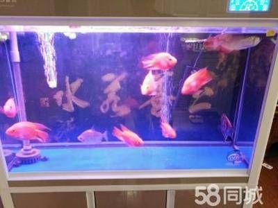 森森1058鱼缸