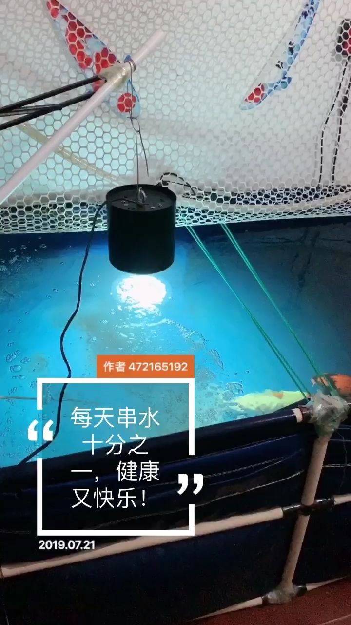 换水完毕！ 观赏鱼论坛