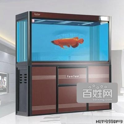 森森水族连锁店 森森鱼缸