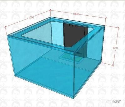 森森鱼缸1米龙缸用的多大尺寸的三重溢流