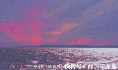 龙鱼品相和介绍怎么写文案好看 龙鱼百科 第2张