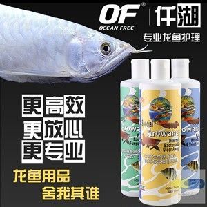 龙鱼水霉用土霉素可以吗