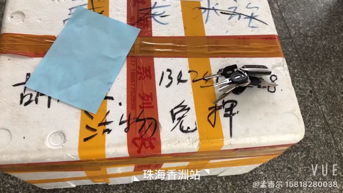 珠海胡生准备接鱼 观赏鱼论坛