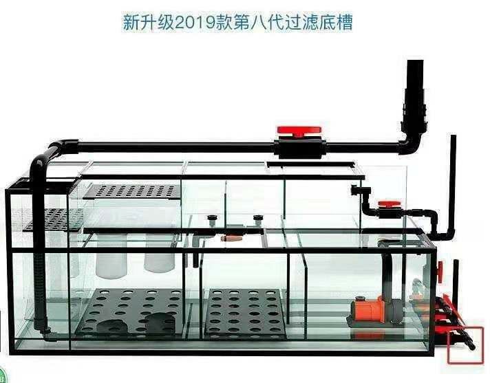 求老师解答下鱼缸尺寸 观赏鱼论坛