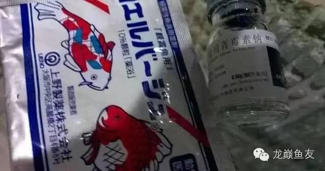 森森售后客服电话0580 森森鱼缸