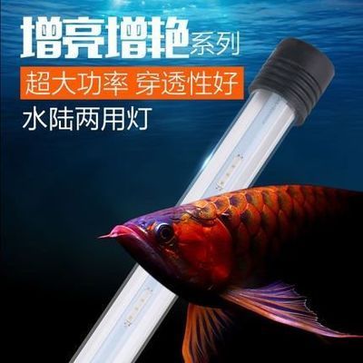 森森水族灯的使用方法 森森鱼缸