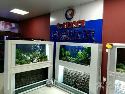 森森水族加盟店 森森鱼缸