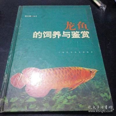 龙鱼的饲养与鉴赏作文三年级上册 龙鱼百科 第2张